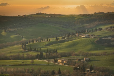 Trees on hills at sunset in Tuscany, Italy