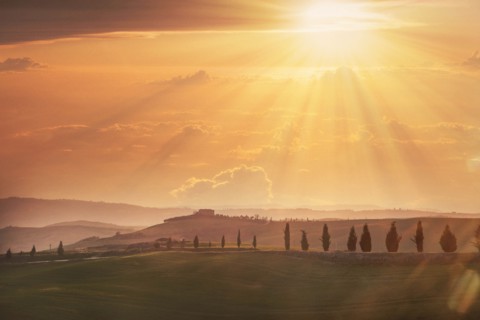 Trees on hills at sunset in Tuscany, Italy