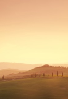 Trees on hills at sunset in Tuscany, Italy