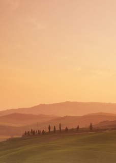 Trees on hills at sunset in Tuscany, Italy