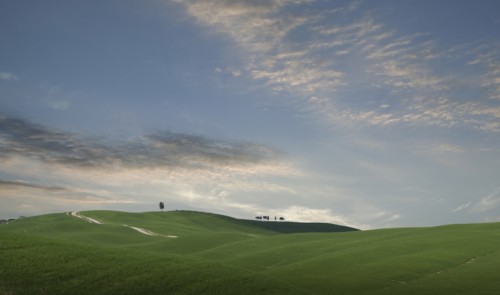 Trees on hill in Tuscany, Italy