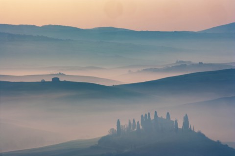 Trees on hills at sunset in Tuscany, Italy