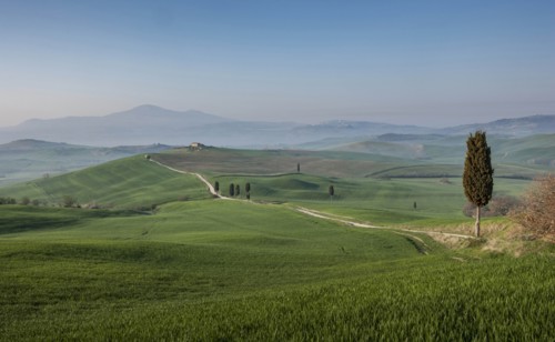 Road through hills in Tuscany, Italy
