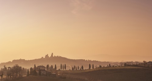 Trees on hills at sunset in Tuscany, Italy