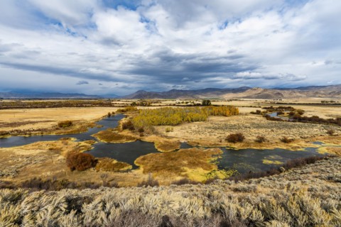 River in marsh