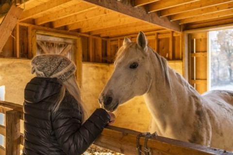 Woman and horse in stable
