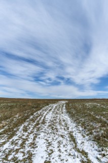 Snowy country road