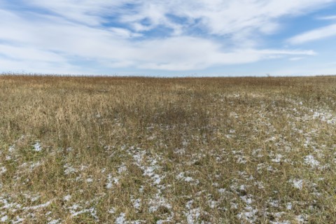 Field under cloud
