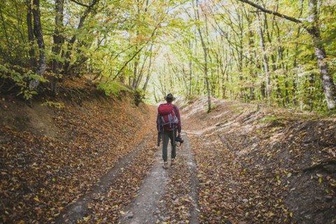 Man hiking in forest