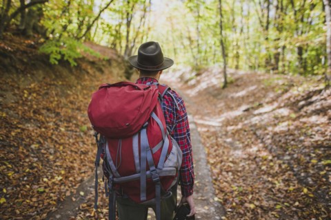 Man hiking in forest