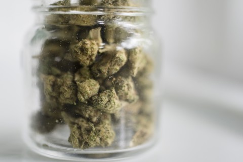 Glass jar filled with marijuana