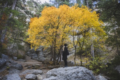 young woman on boulder in autumn forest