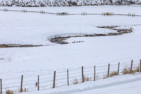 Fence on farm during winter