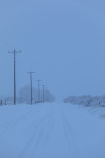 Power lines by snow on highway
