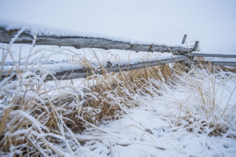 Wooden fence with snow on farm in winter