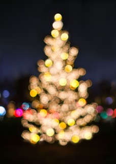 Defocussed Christmas tree illuminated at night