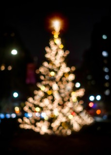 Defocussed Christmas tree illuminated at night