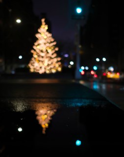 Defocussed Christmas tree illuminated at night