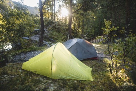 Tents in forest