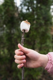 Girls (6-7) hand holding roasted Marshmallow on stick
