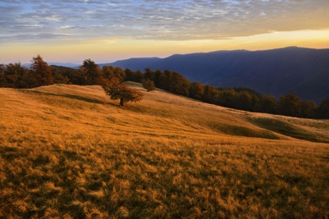 Ukraine, Zakarpattia region, Carpathians, Borzhava, Hillside mountain Munchel, Autumn landscape with mountains behind in evening light
