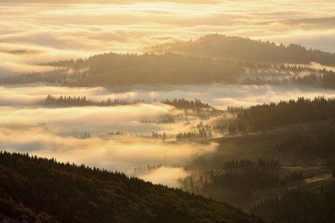 Ukraine, Zakarpattia region, Carpathians, Borzhava, Mountain landscape in fog illuminated by morning sunlight