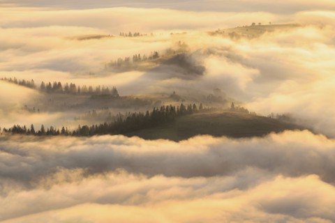 Ukraine, Zakarpattia region, Carpathians, Borzhava, Foggy hills of Carpathian Mountains at sunrise