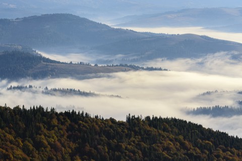 Ukraine, Zakarpattia region, Carpathians, Borzhava, Foggy hills of Carpathian Mountains at sunrise