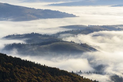 Ukraine, Zakarpattia region, Carpathians, Borzhava, Foggy hills of Carpathian Mountains at sunrise
