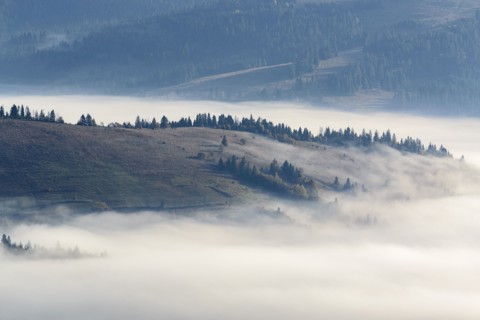 Ukraine, Zakarpattia region, Carpathians, Borzhava, Foggy hills of Carpathian Mountains at sunrise