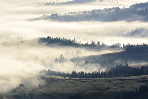Ukraine, Zakarpattia region, Carpathians, Borzhava, Foggy hills of Carpathian Mountains at sunrise
