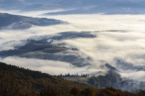 Ukraine, Zakarpattia region, Carpathians, Borzhava, Foggy hills of Carpathian Mountains at sunrise