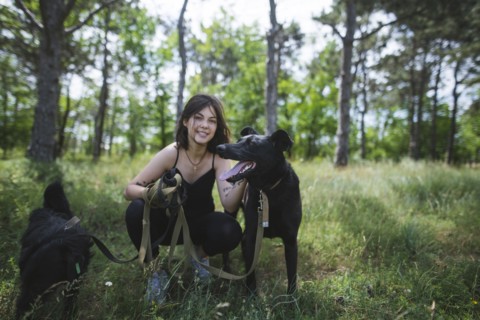 Young woman walking dogs from animal shelter in pine forest