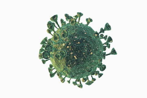 Digitally generated image of Coronavirus