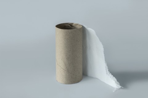 Out of toilet paper