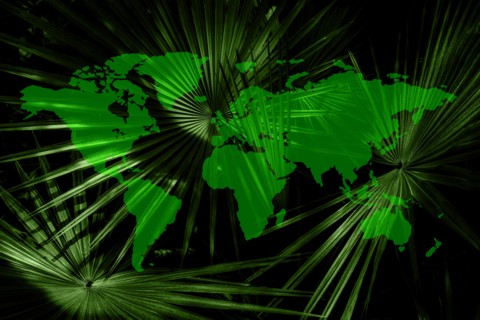 Double exposure of fronds and world map