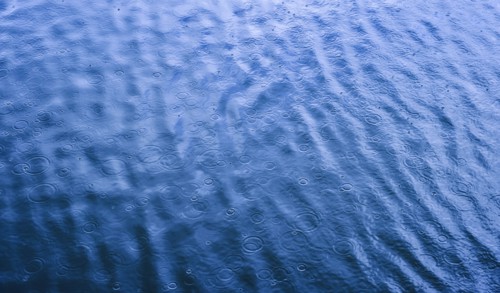 Ripples from rain drops in sea