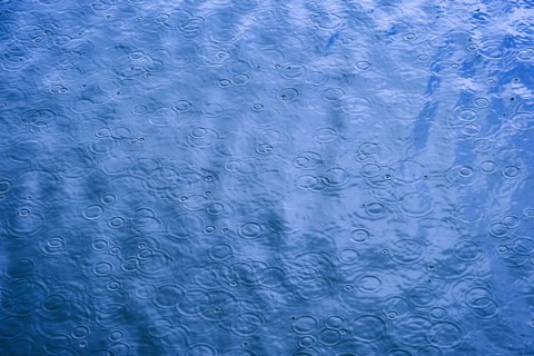 Ripples from rain drops in sea