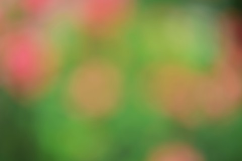 Green blurred image