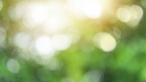Green blurred image