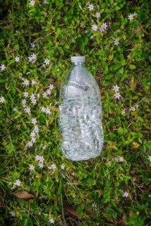 Plastic bottle on grass