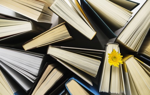 Books and yellow flower viewed from directly above