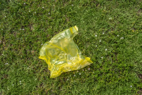 Yellow plastic bag on grass