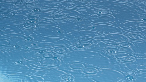 Ripples from rain drops in pond