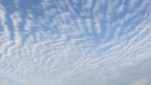 Overcast sky
