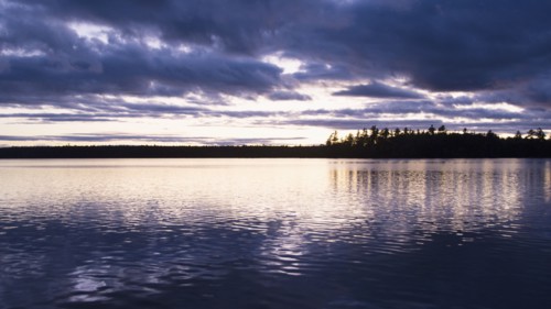 Silhouette of trees and lake at sunset