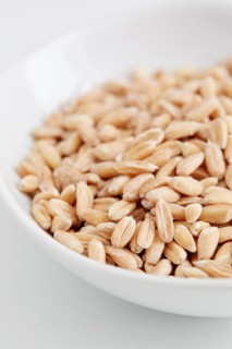 Farro seeds in bowl