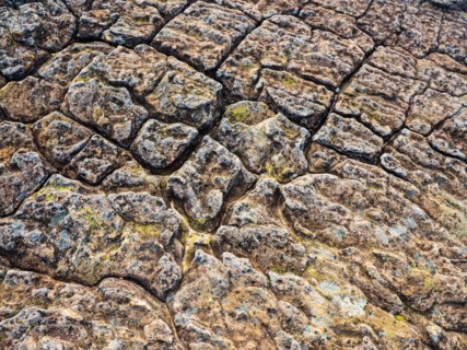 Lichen on rock