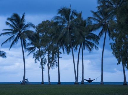 Woman sitting in hammock between palm trees