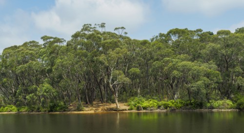 Wentworth Falls Lake at Blue Mountains National Park in New South Wales, Australia